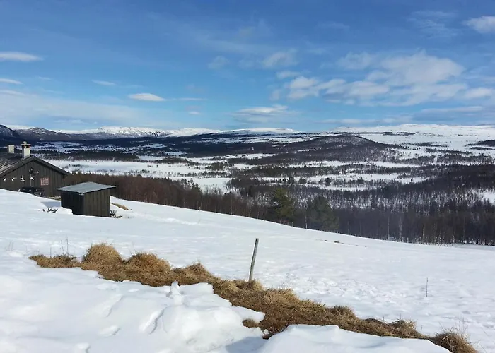 Tallasen Dagalifjell بيت للعطل